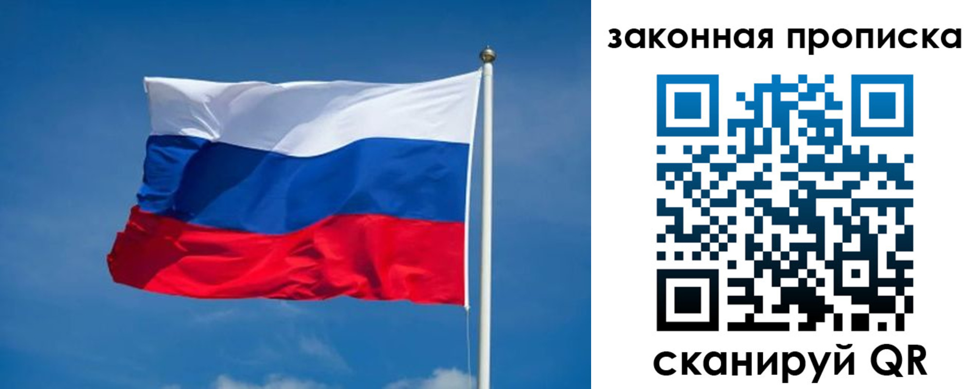 прописка гарантия в Белгороде